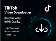 how to download tiktok videos that can't be saved