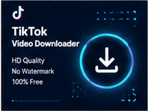 tik tok to mp3 converter