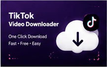 tiktok profile downloader