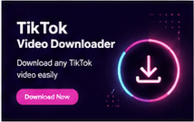tiktok profile downloader