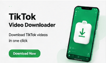 tiktok thumbnail downloader
