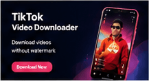 tiktok thumbnail downloader