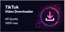 tiktok caption downloader