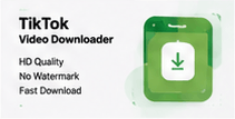 tiktok subtitle downloader