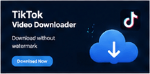 tiktok subtitle downloader
