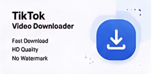 TikTok to MP4 Converter