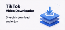 tiktok downloader story