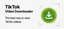 tiktok downloader story
