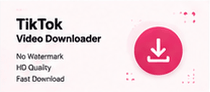 download tiktok profile
