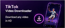 download tiktok video to computer