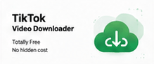 download tiktok video to computer